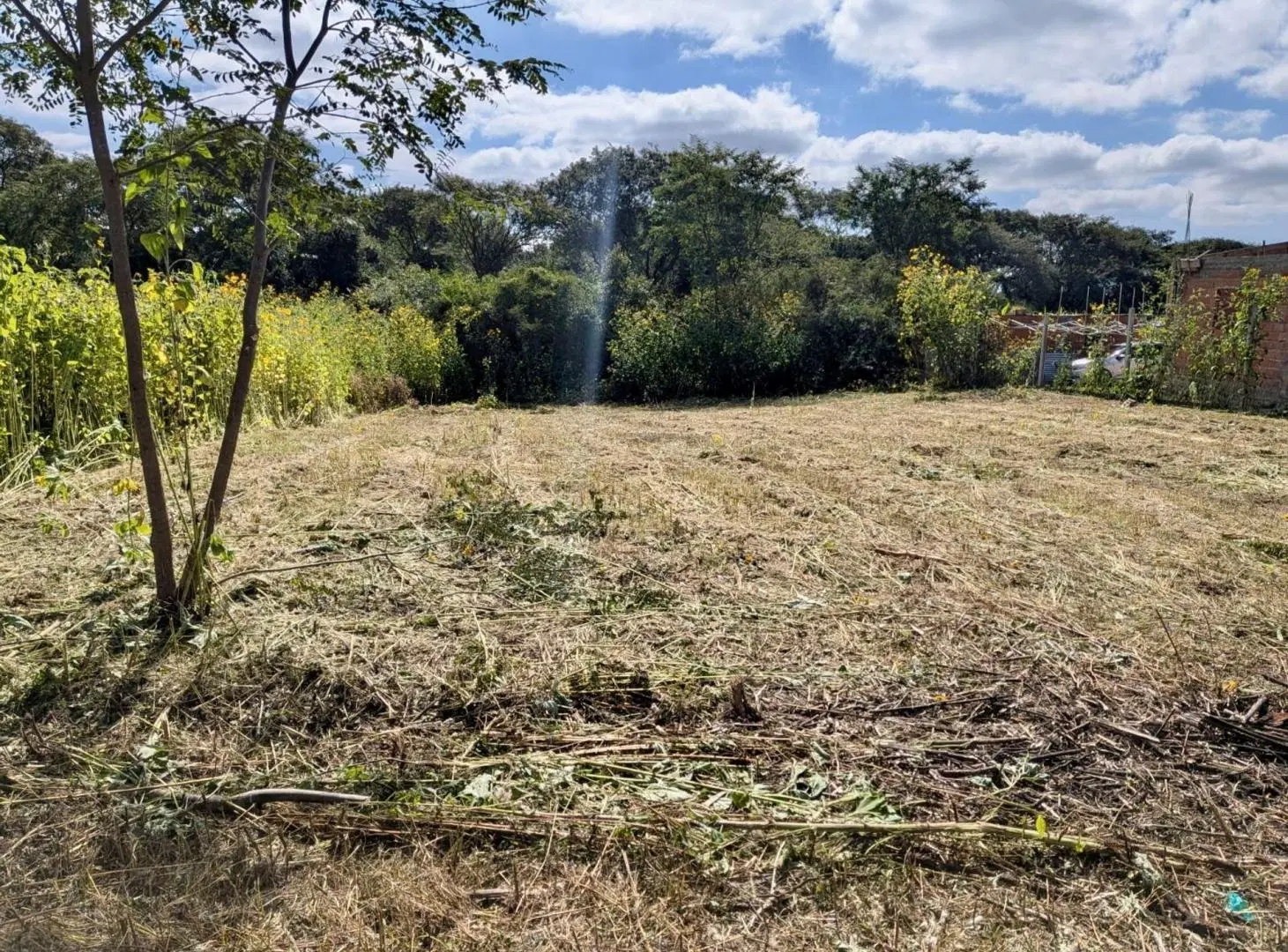VENTA TERRENO 600 m2 EN BOSQUE DEL CEIBAL I 811 2