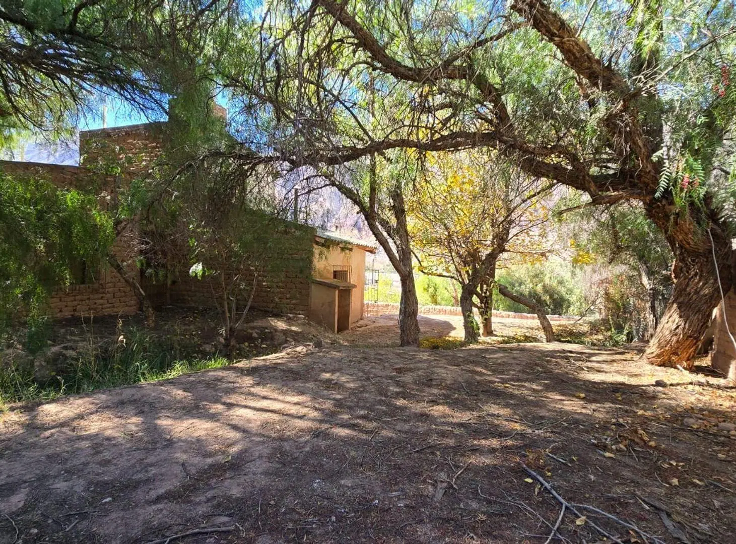VENTA CASA 4 DORMITORIOS MAIMARA 4