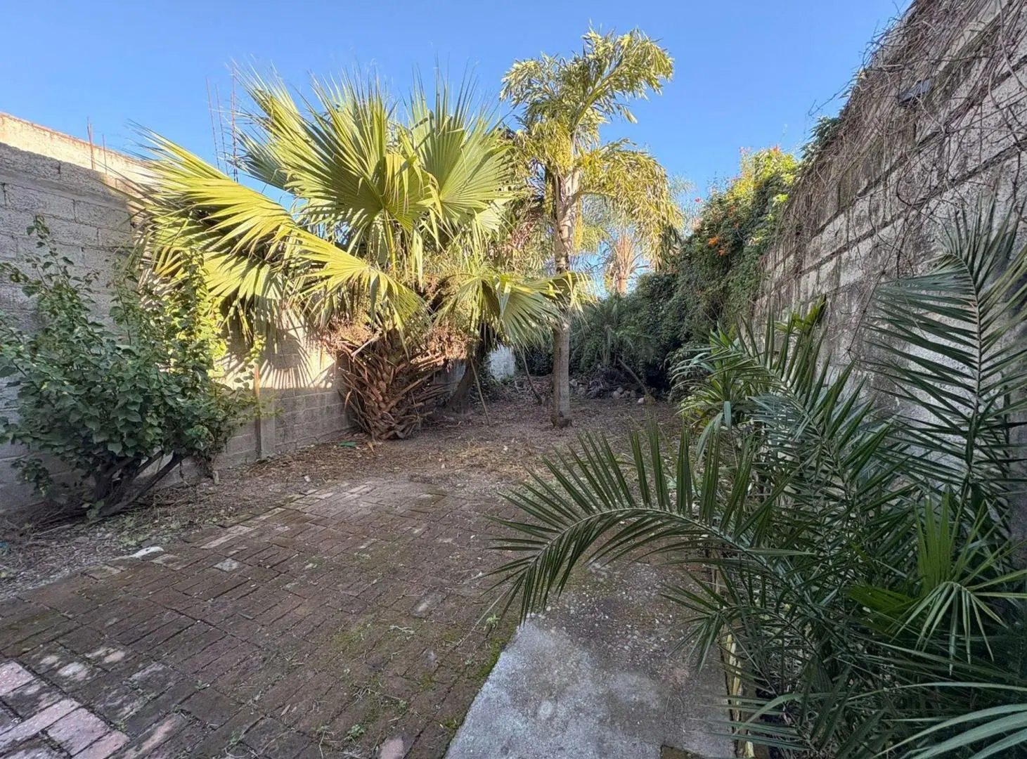 VENTA DUPLEX SAN PEDRITO 2 DORM 5