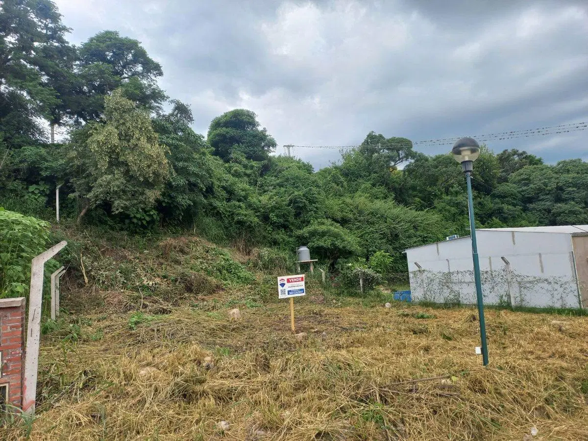 VENTA TERRENO EN BARRIO LAS MORAS 720,95 m² 3