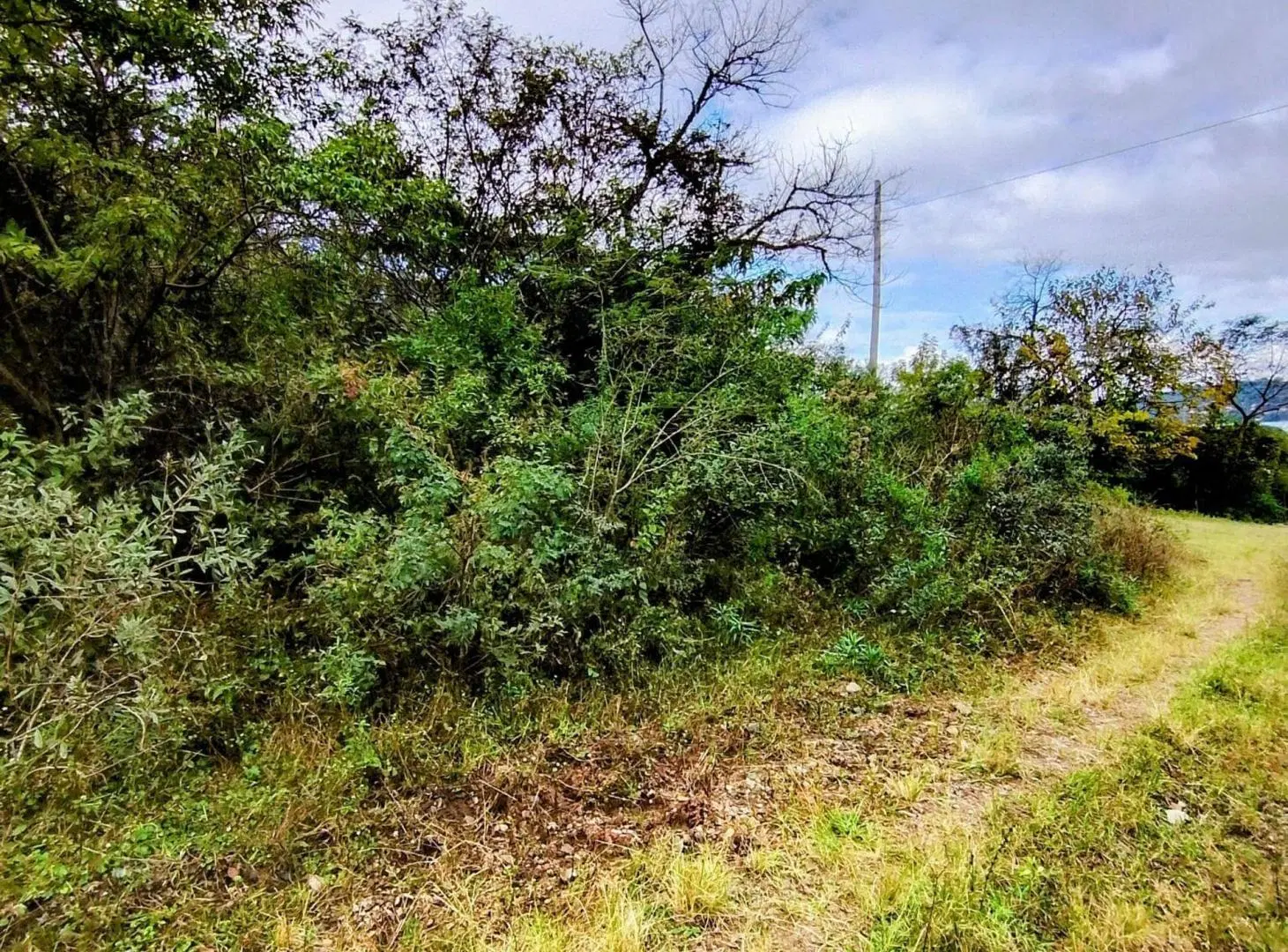 TERRENO EL CARMEN - BARRO PARQUE DIQUE LA CIÉNAGA 4