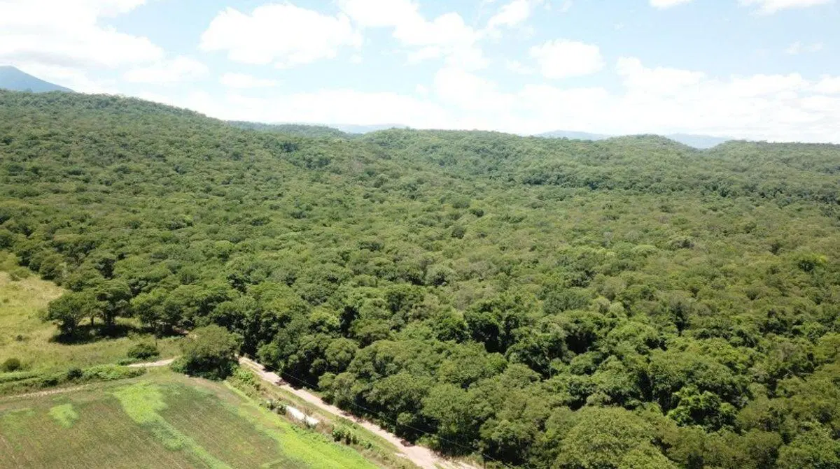 VENTA FINCA VIRGEN 20,7 HAS SANTA CLARA 2