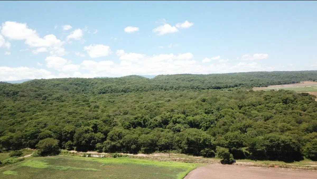 VENTA FINCA VIRGEN 20,7 HAS SANTA CLARA 4