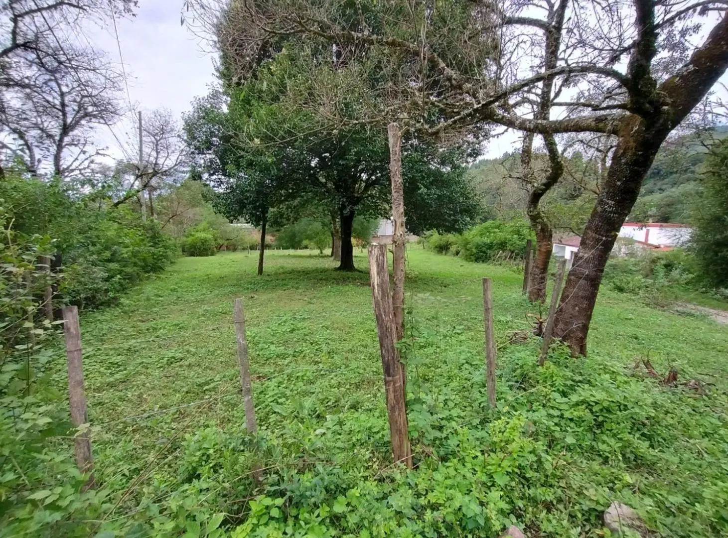VENTA TERRENO EN ESQ. 1.054,76 M2 LOS NOGALES YALA 3