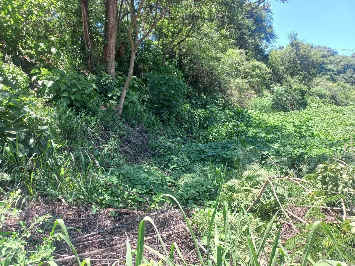 VENTA TERRENO EN BARRIO LAS MORAS 815,11 m² 4