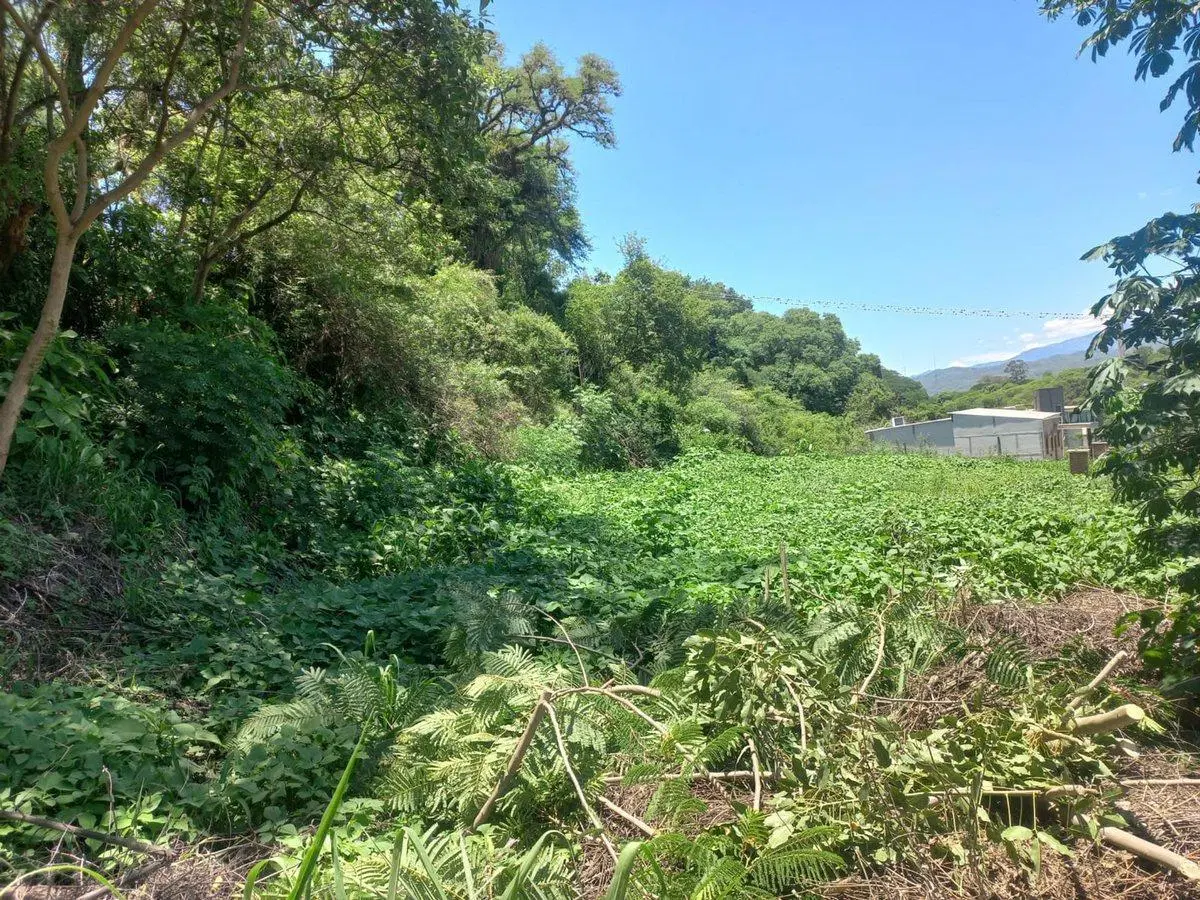VENTA TERRENO EN BARRIO LAS MORAS 815,11 m² 3