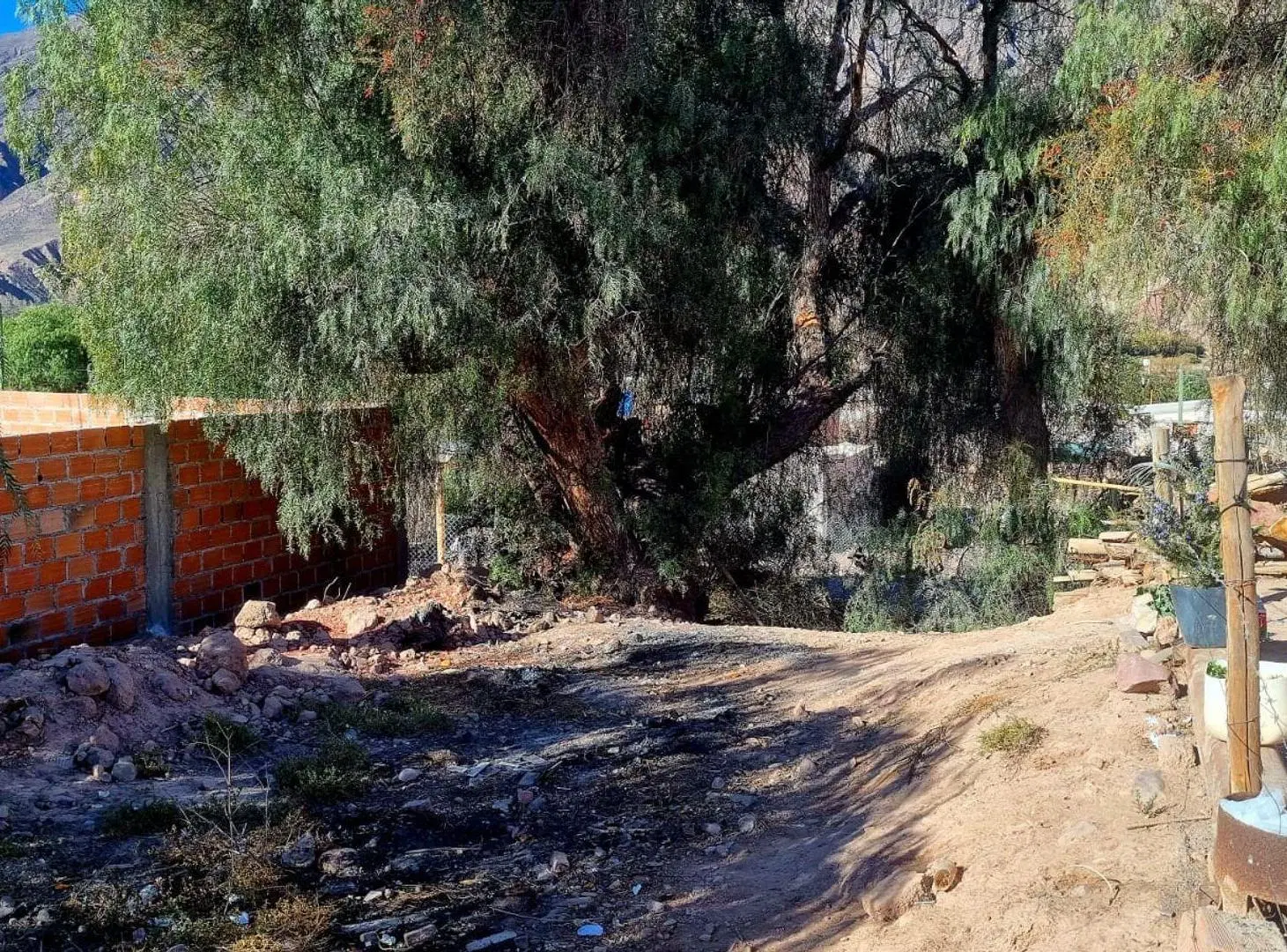 VENTA DE TERRENO EN MAIMARA, 193,20 m2 3