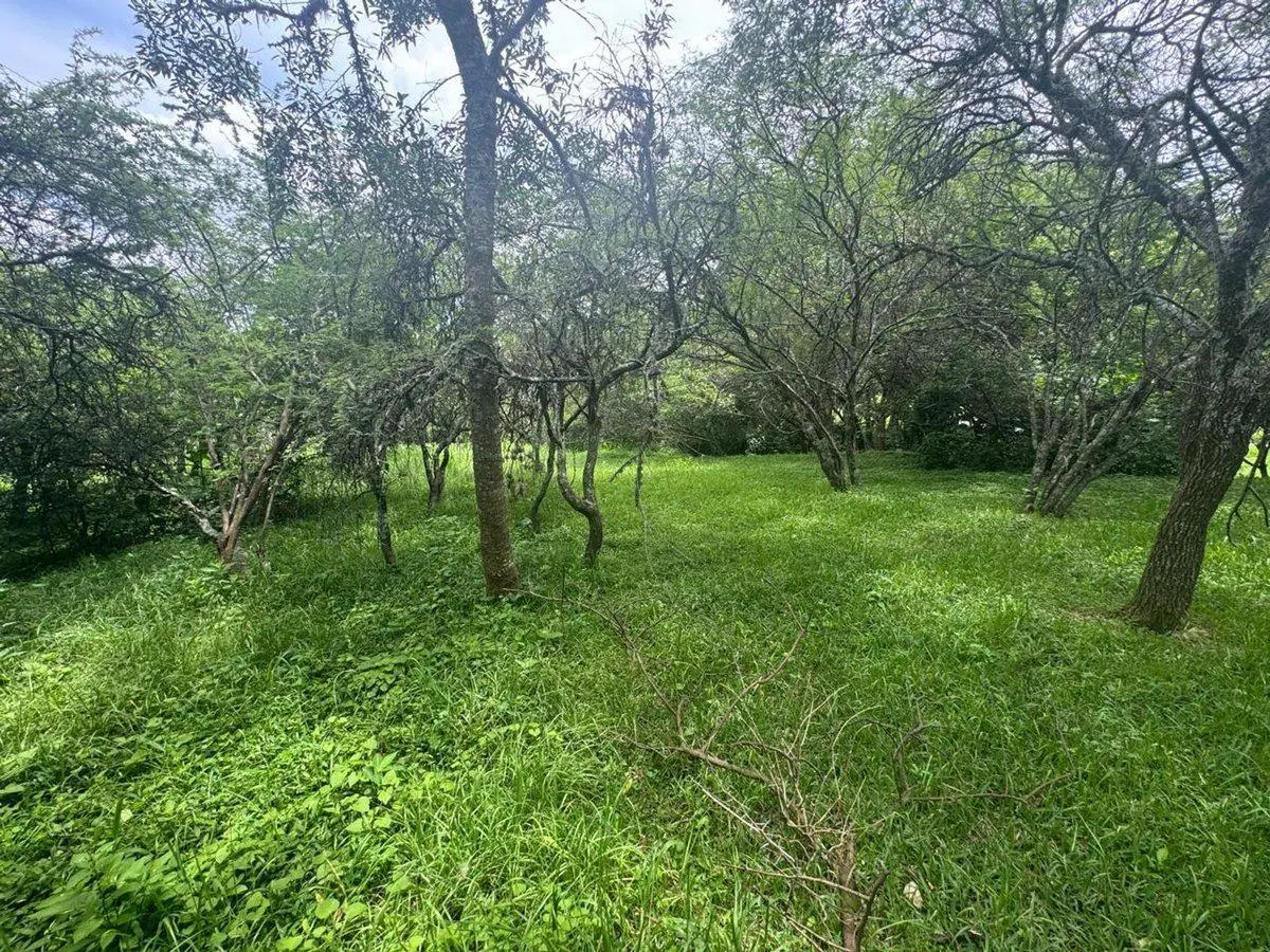VENTA TERRENO 956,86 M2 - B° ALTO LA VIÑA 8