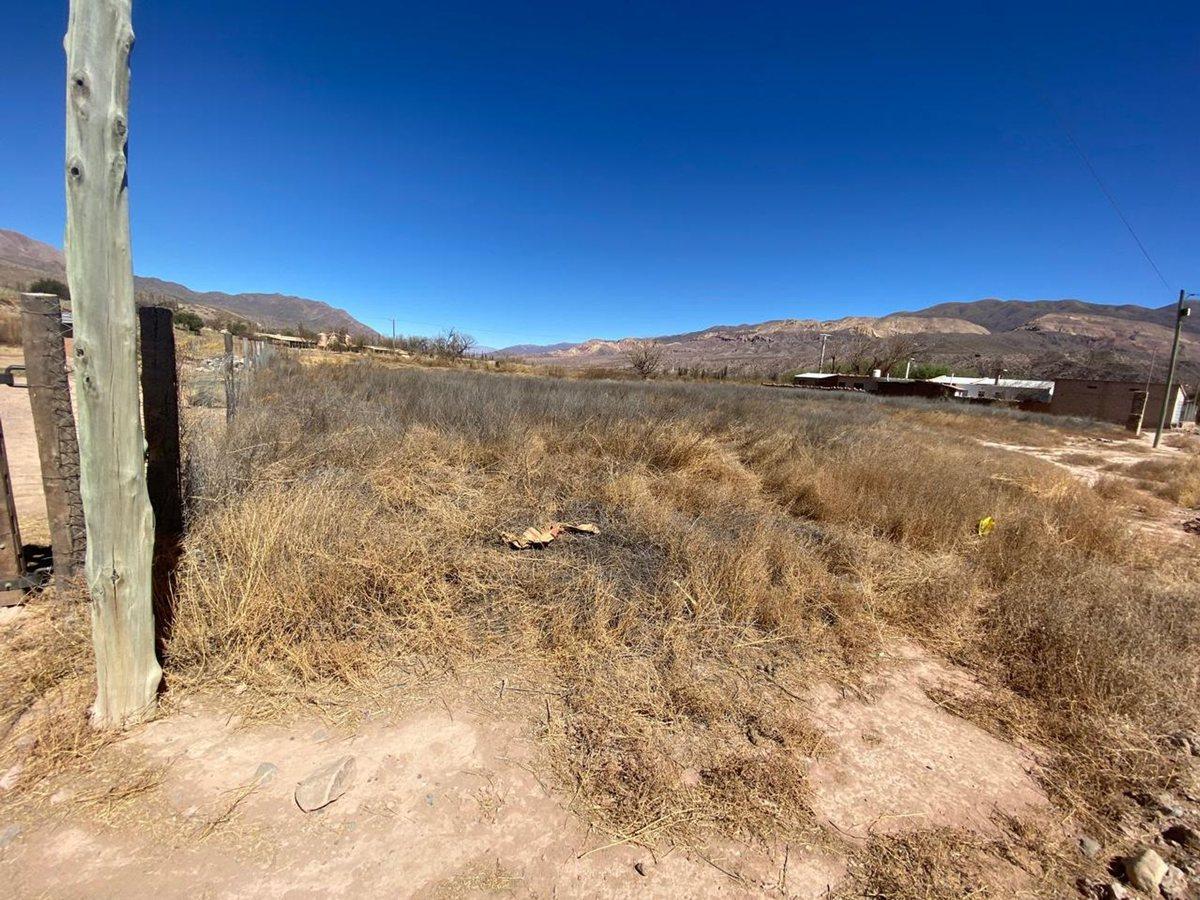 Foto de VENTA TERRENO 600 M2 HUACALERA, imagen 3
