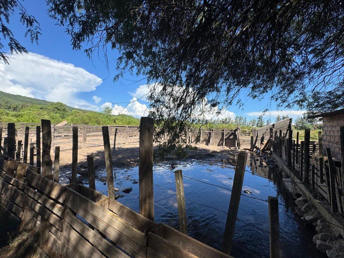 Foto de VENTA FINCA 93.749 m²- PERICO- PUESTO VIEJO- JUJUY, imagen 3