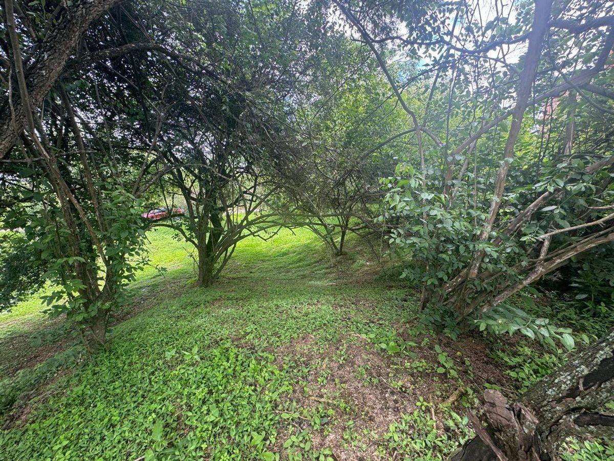 Foto de VENTA TERRENO 956,86 M2 - B° ALTO LA VIÑA, imagen 5
