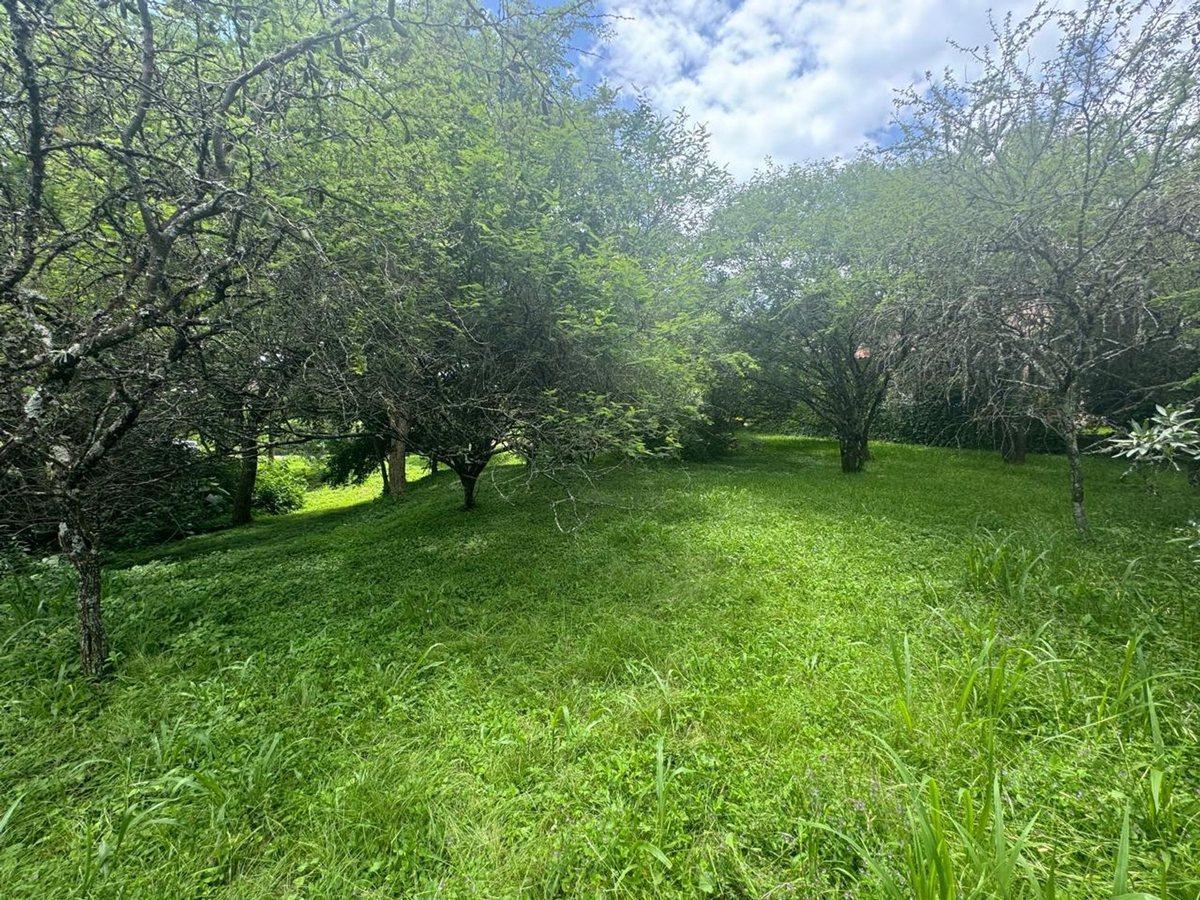 Foto de VENTA TERRENO 956,86 M2 - B° ALTO LA VIÑA, imagen 2