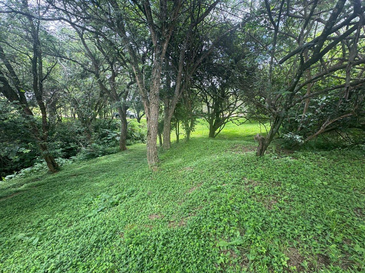 Foto de VENTA TERRENO 956,86 M2 - B° ALTO LA VIÑA, imagen 4
