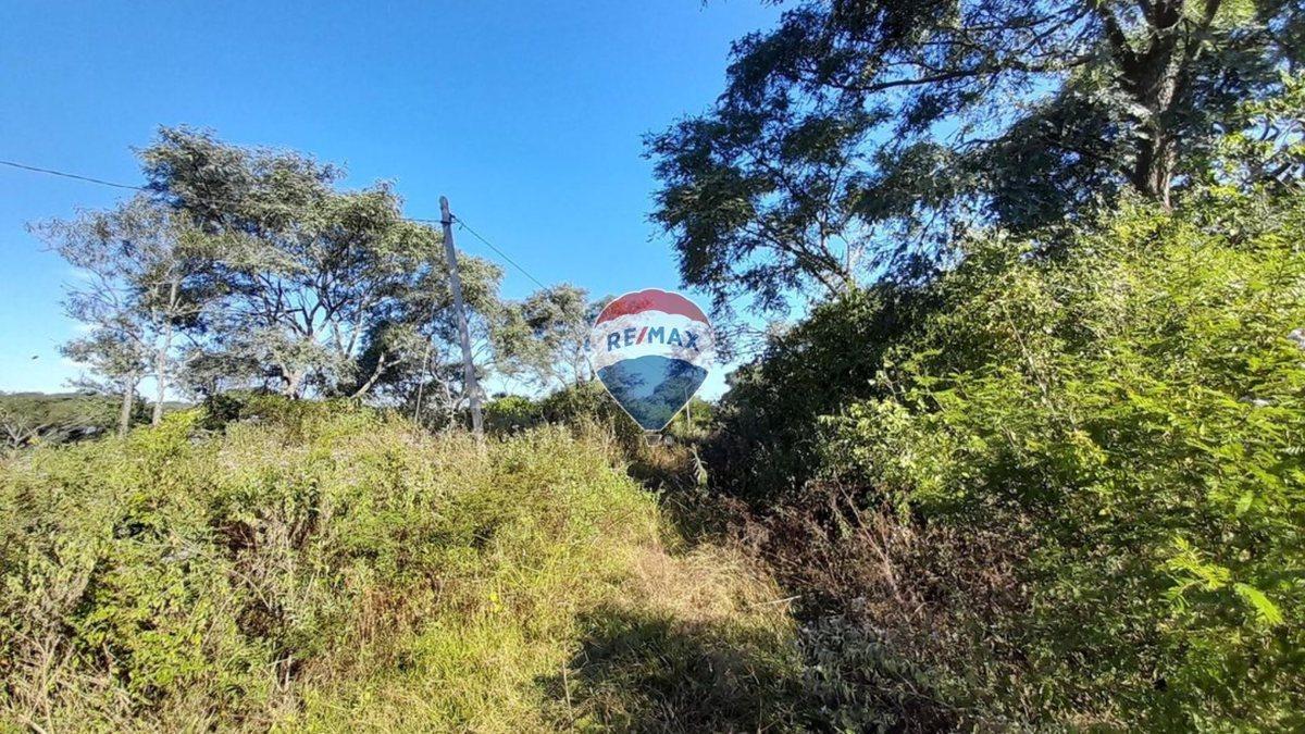 Foto de VENTA TERRENO 5400 m2 - LOMA HERMOSA, imagen 2