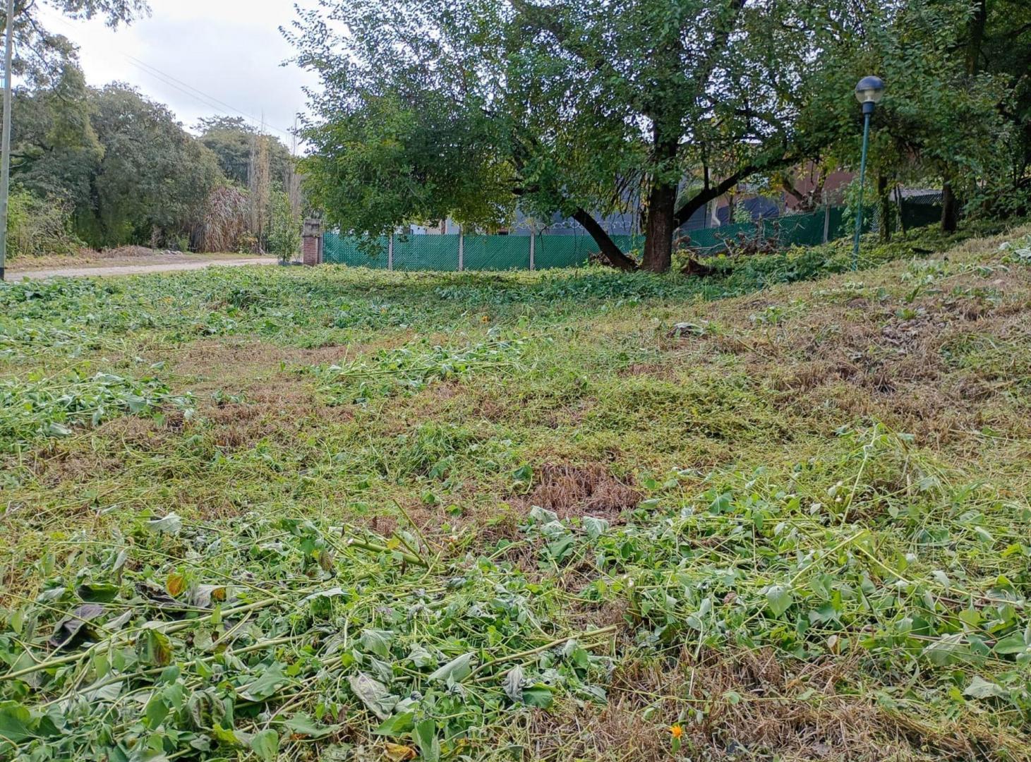 Foto de VENTA TERRENO EN LAS MORAS ESQUINA 1178.93 m², imagen 2