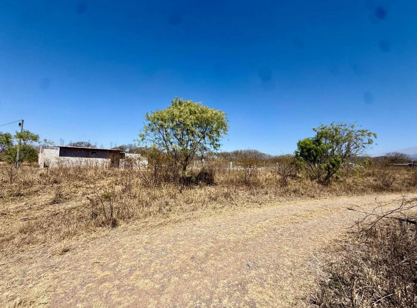 Foto de VENTA TERRENO ESQUINA 597 M2 LA ALAMEDA EL CEIBAL, imagen 4