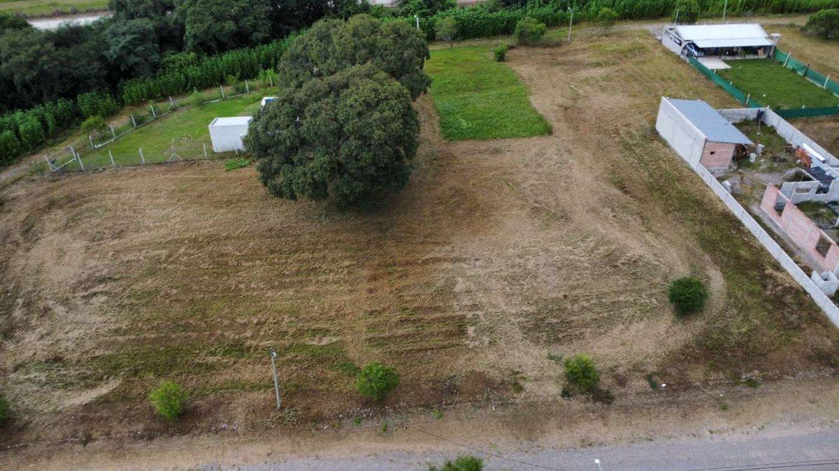 Foto de VENTA TERRENO 600m² BOSQUE DEL CEIBAL ll, imagen 3
