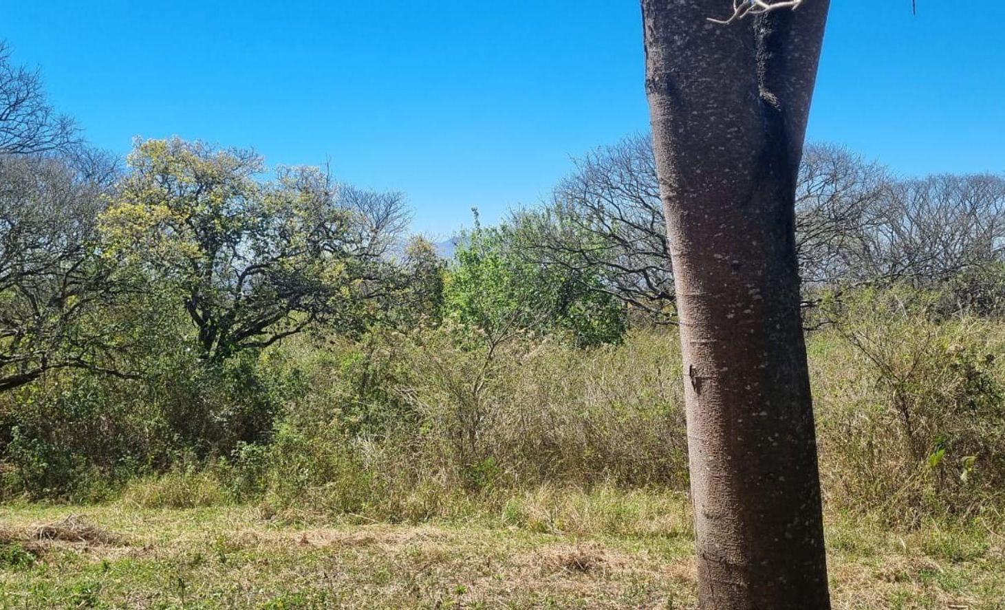 Foto de TERRENO EN VENTA EN LOMA HERMOSA, EL CEIBAL 600m2, imagen 3