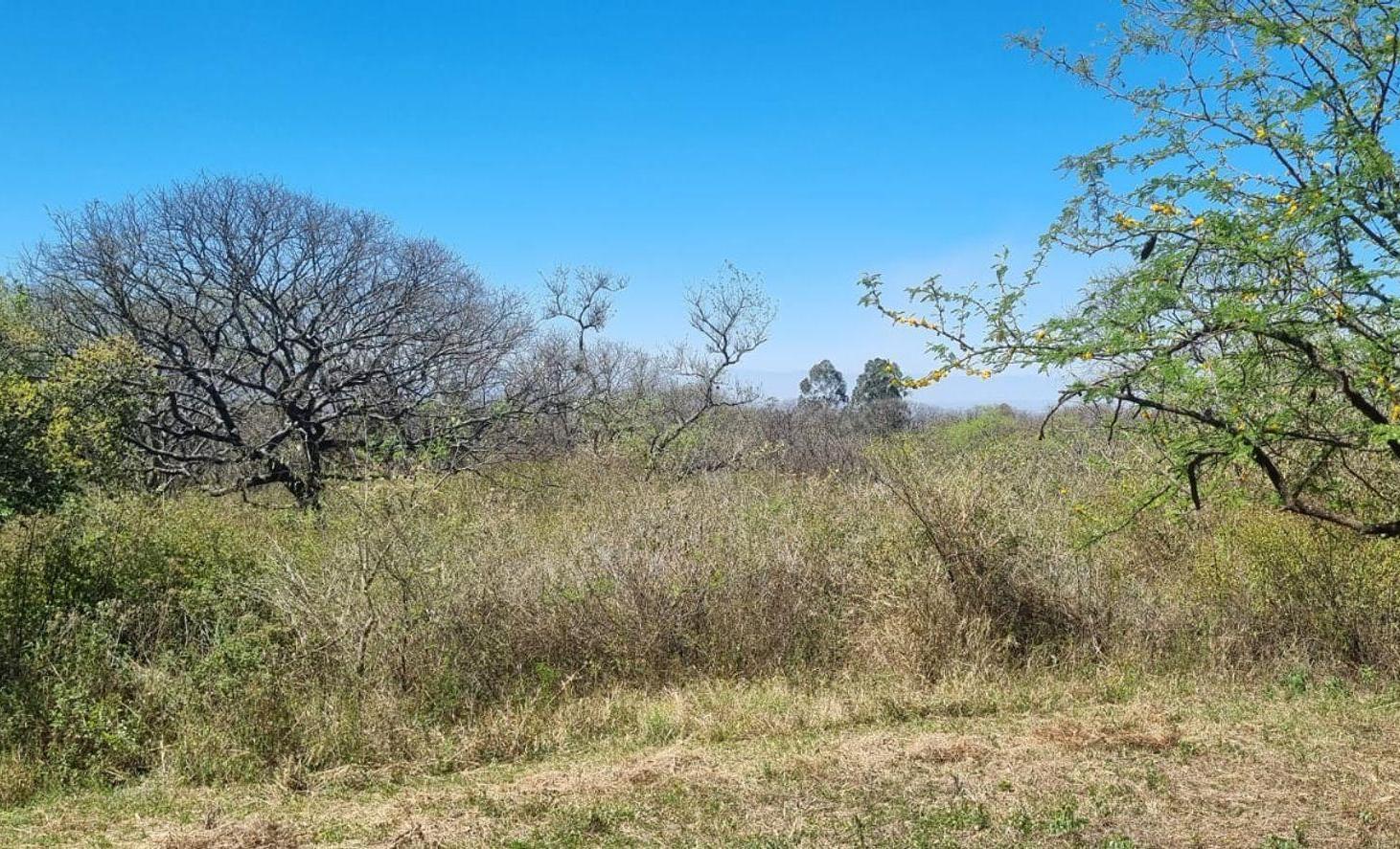 Foto de TERRENO EN VENTA EN LOMA HERMOSA, EL CEIBAL 600m2, imagen 2