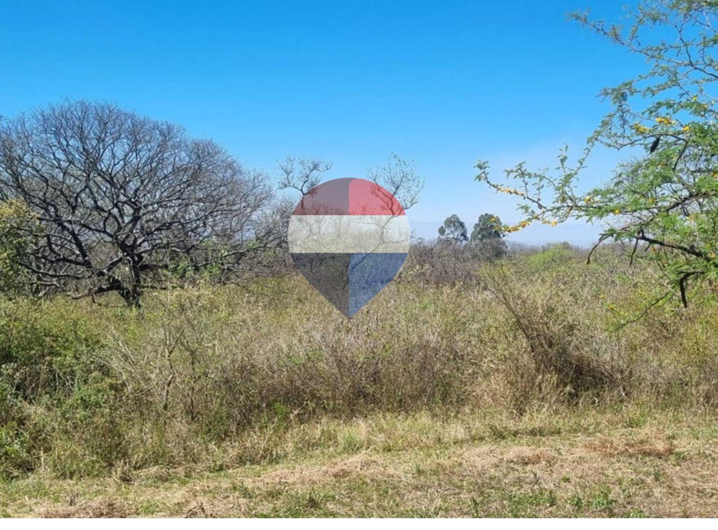 Foto de TERRENO EN VENTA EN LOMA HERMOSA, EL CEIBAL 600m2, imagen 1