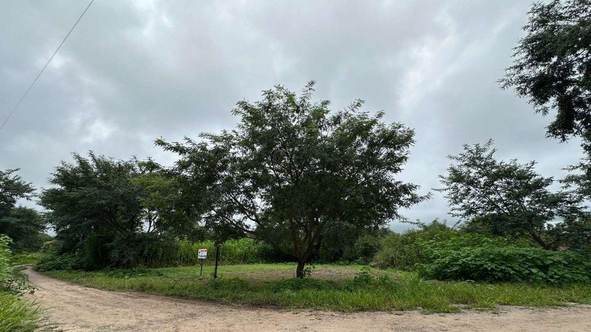 Foto de VENTA TERRENO ESQUINA BOSQUES CEIBAL 1 600 m², imagen 4