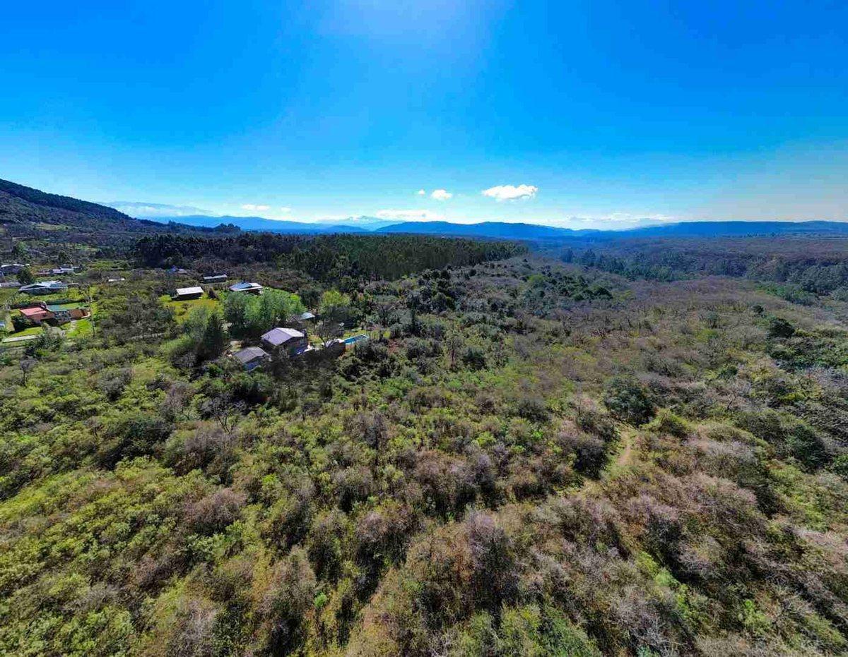 Foto de VENTA TERRENO LOS PAÑOS 1484M2, imagen 3