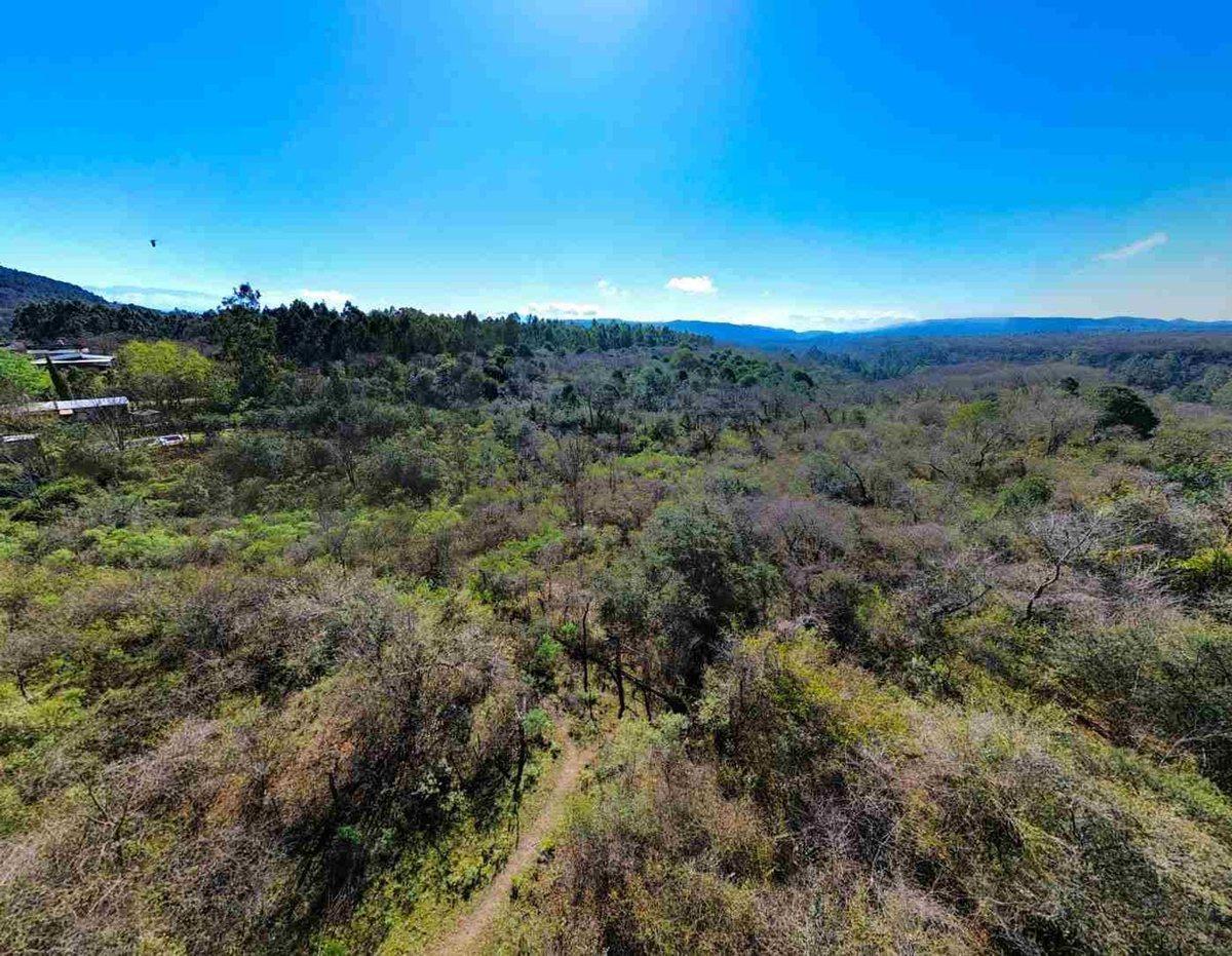 Foto de VENTA TERRENO LOS PAÑOS 1484M2, imagen 4