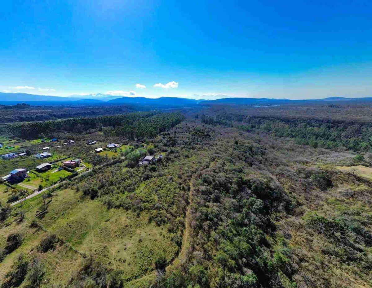 Foto de VENTA TERRENO LOS PAÑOS 1197,03M2, imagen 1