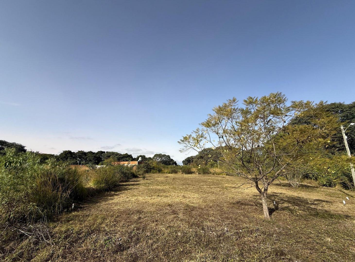 Foto de VENTA TERRENO 338,73m2 B° NUEVO ALISOS, imagen 1