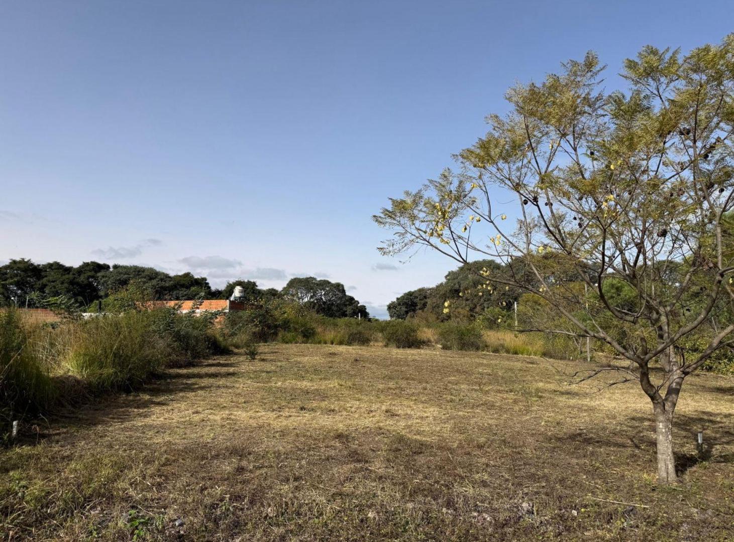 Foto de VENTA TERRENO 338,73m2 B° NUEVO ALISOS, imagen 3