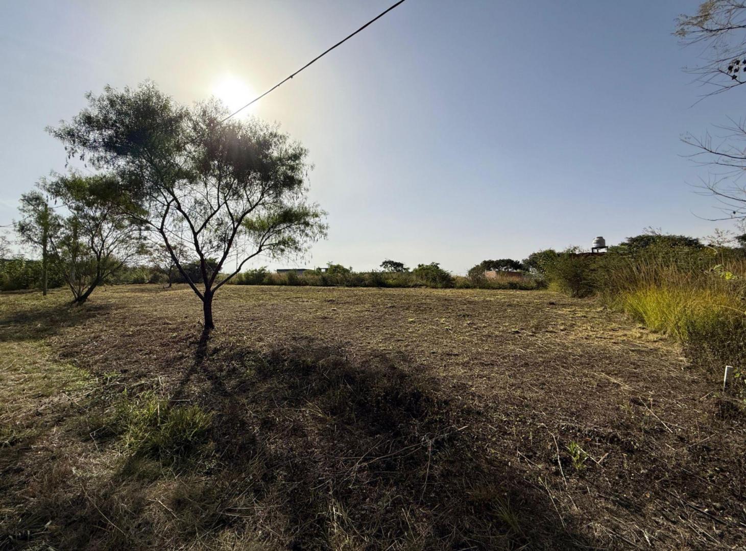 Foto de VENTA TERRENO 287,80m2 B° NUEVO ALISOS, imagen 3