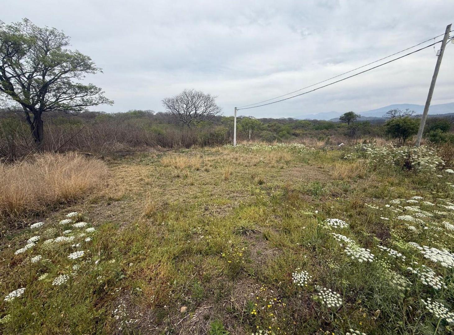 Foto de VENTA TERRENO 250 M2 LOTEO NUEVO ALISOS, imagen 2