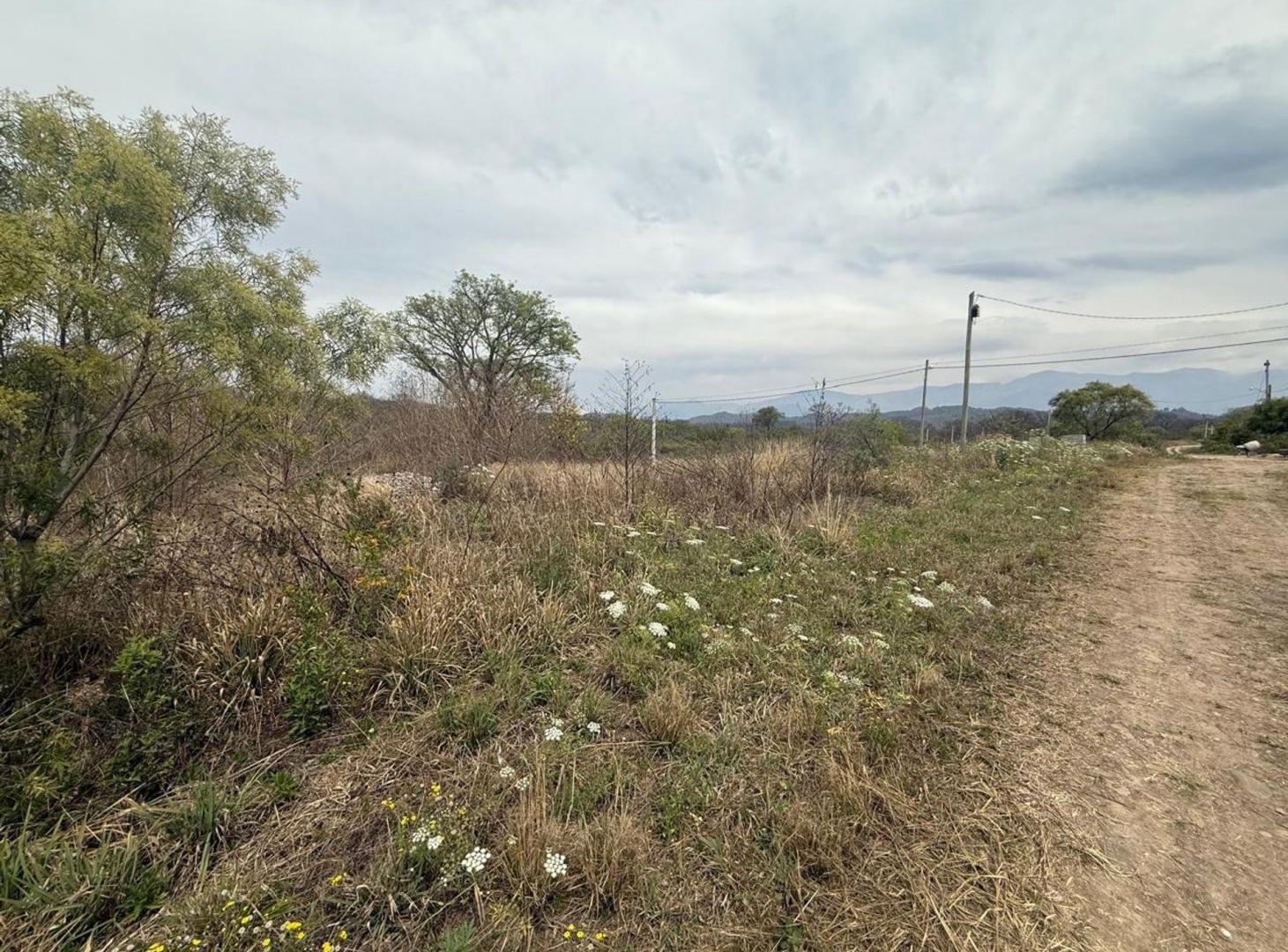 Foto de VENTA TERRENO 250 M2 LOTEO NUEVO ALISOS, imagen 3