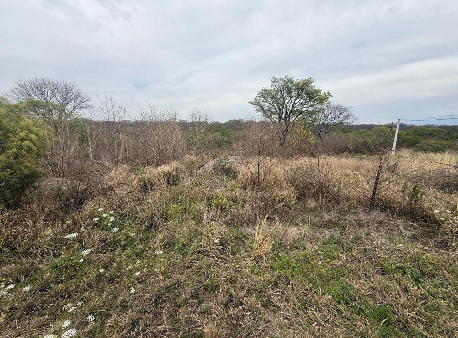 Foto de VENTA TERRENO 250 M2 LOTEO NUEVO ALISOS, imagen 5