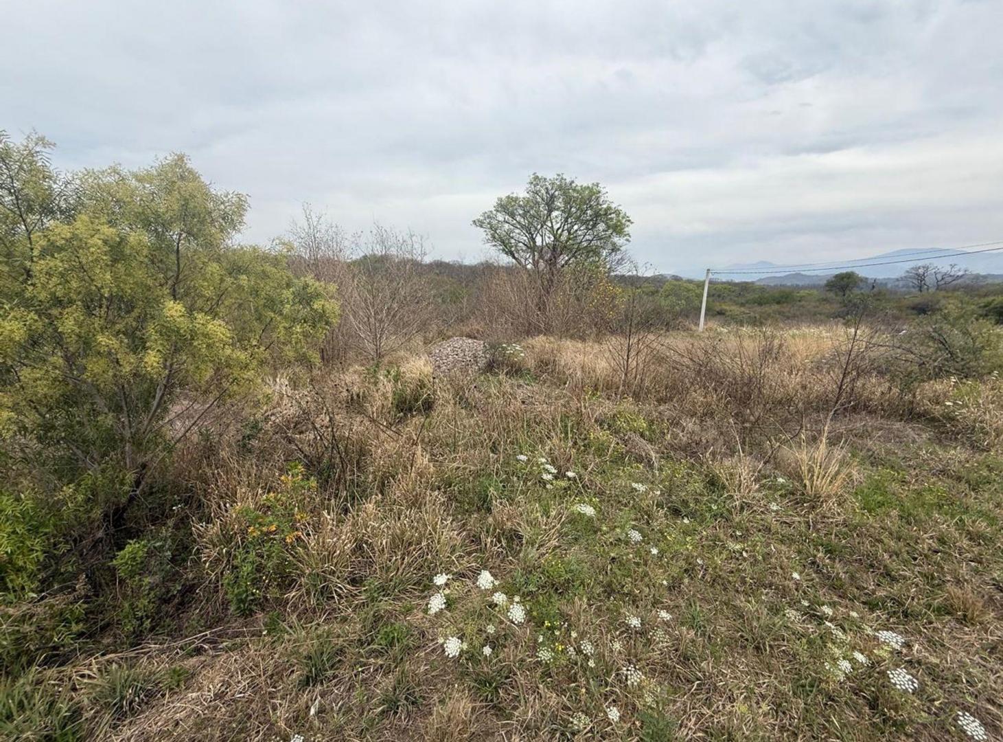 Foto de VENTA TERRENO 250 M2 LOTEO NUEVO ALISOS, imagen 4