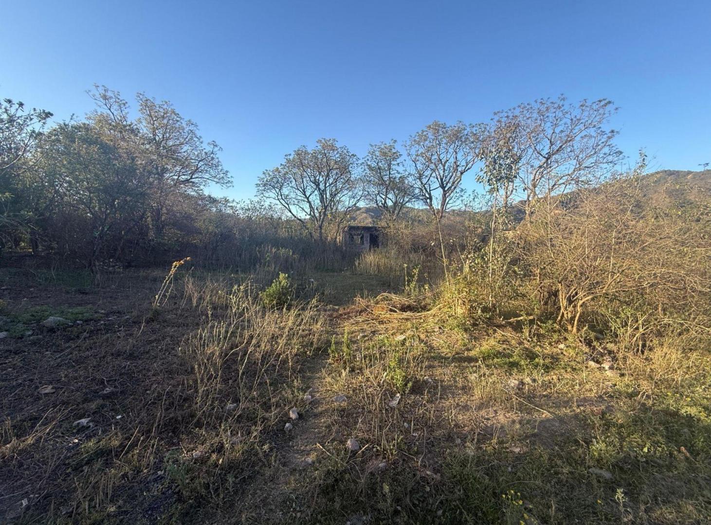 Foto de VENTA TERRENO 1.575 M2 LOZANO, imagen 3