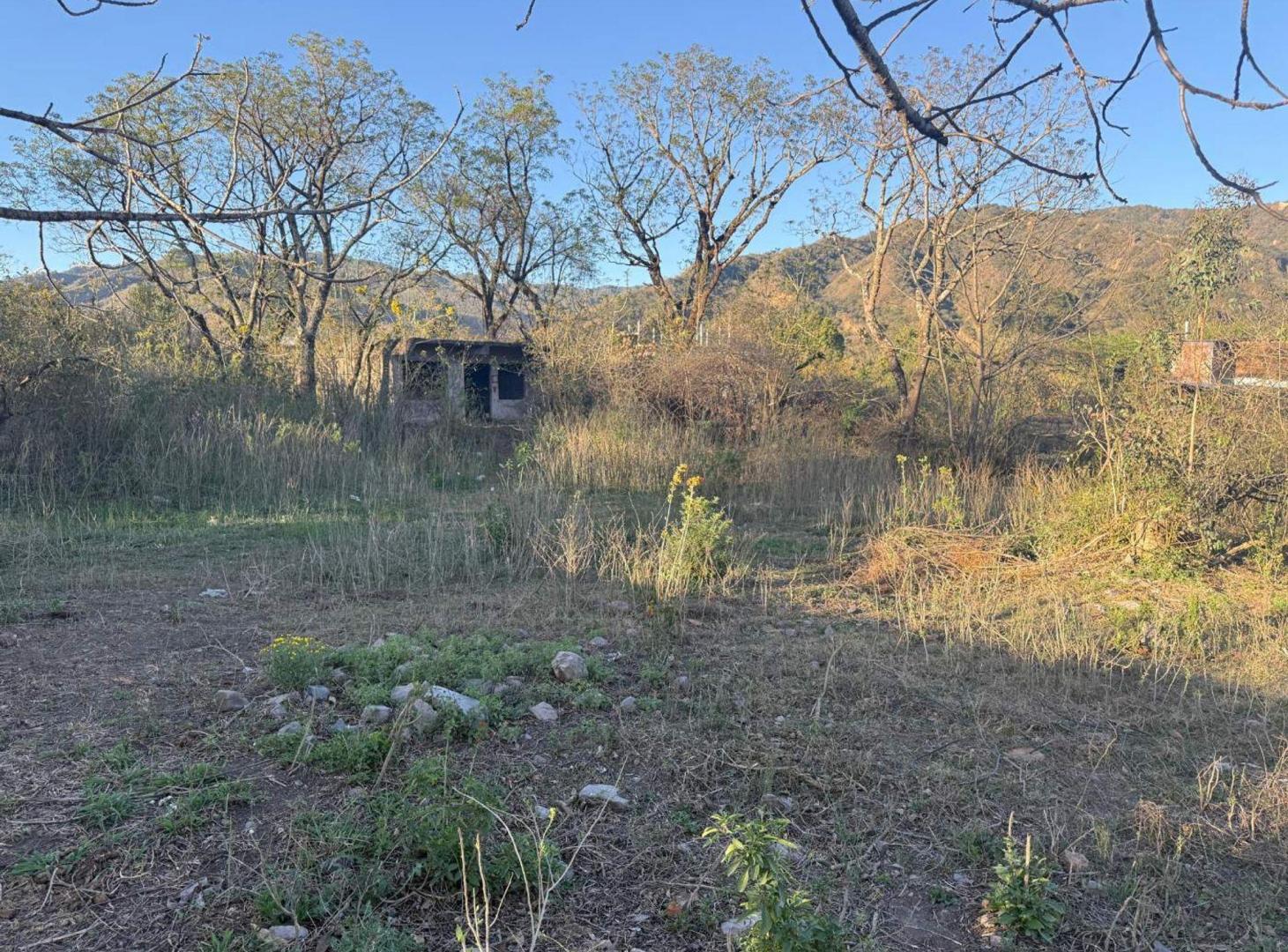 Foto de VENTA TERRENO 1.575 M2 LOZANO, imagen 2