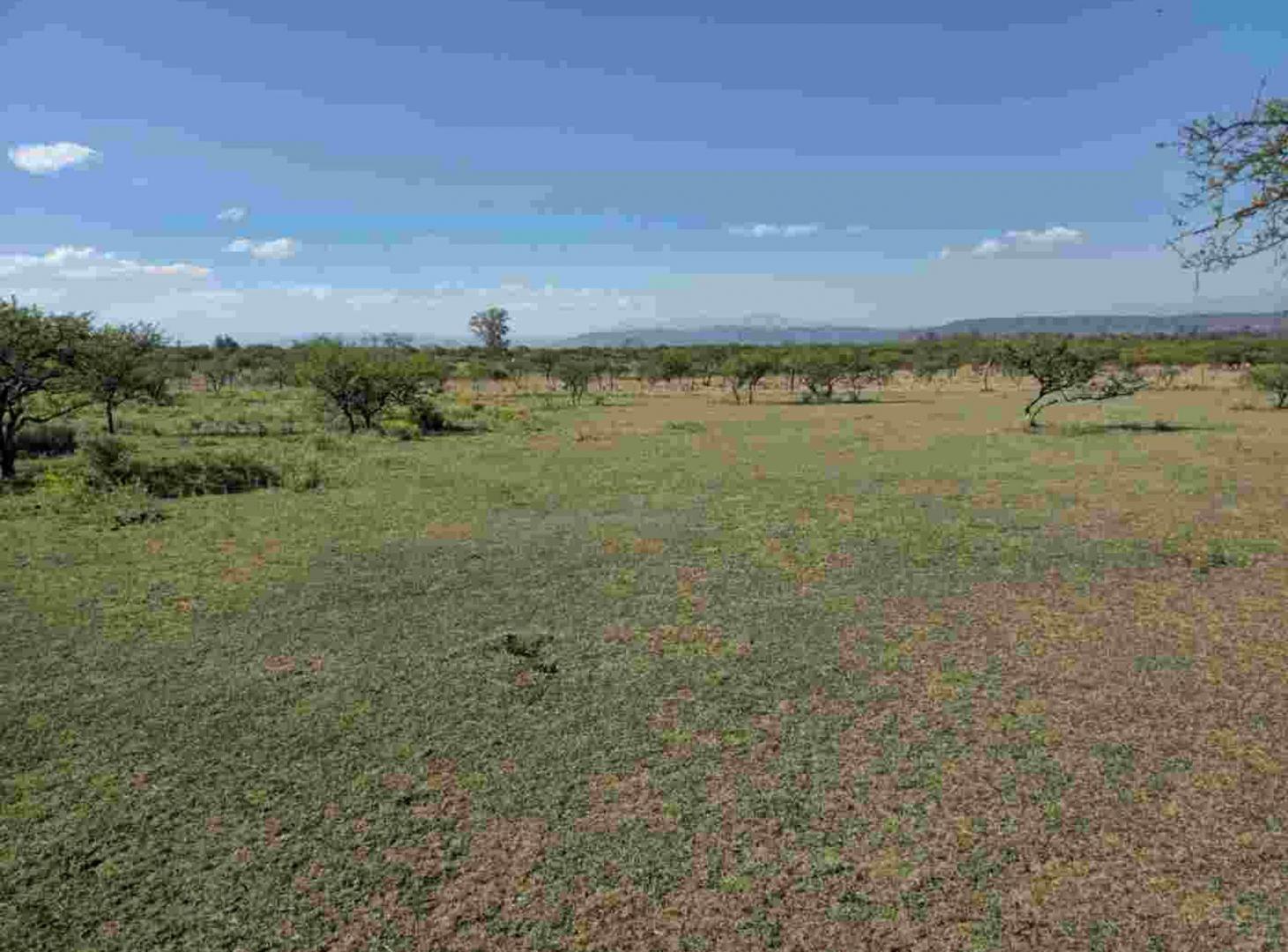 Foto de Venta Terreno 2600m2 La Toma - San Antonio, imagen 5