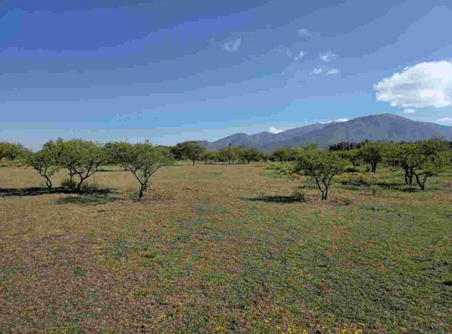 Foto de Venta Terreno 2600m2 La Toma - San Antonio, imagen 2