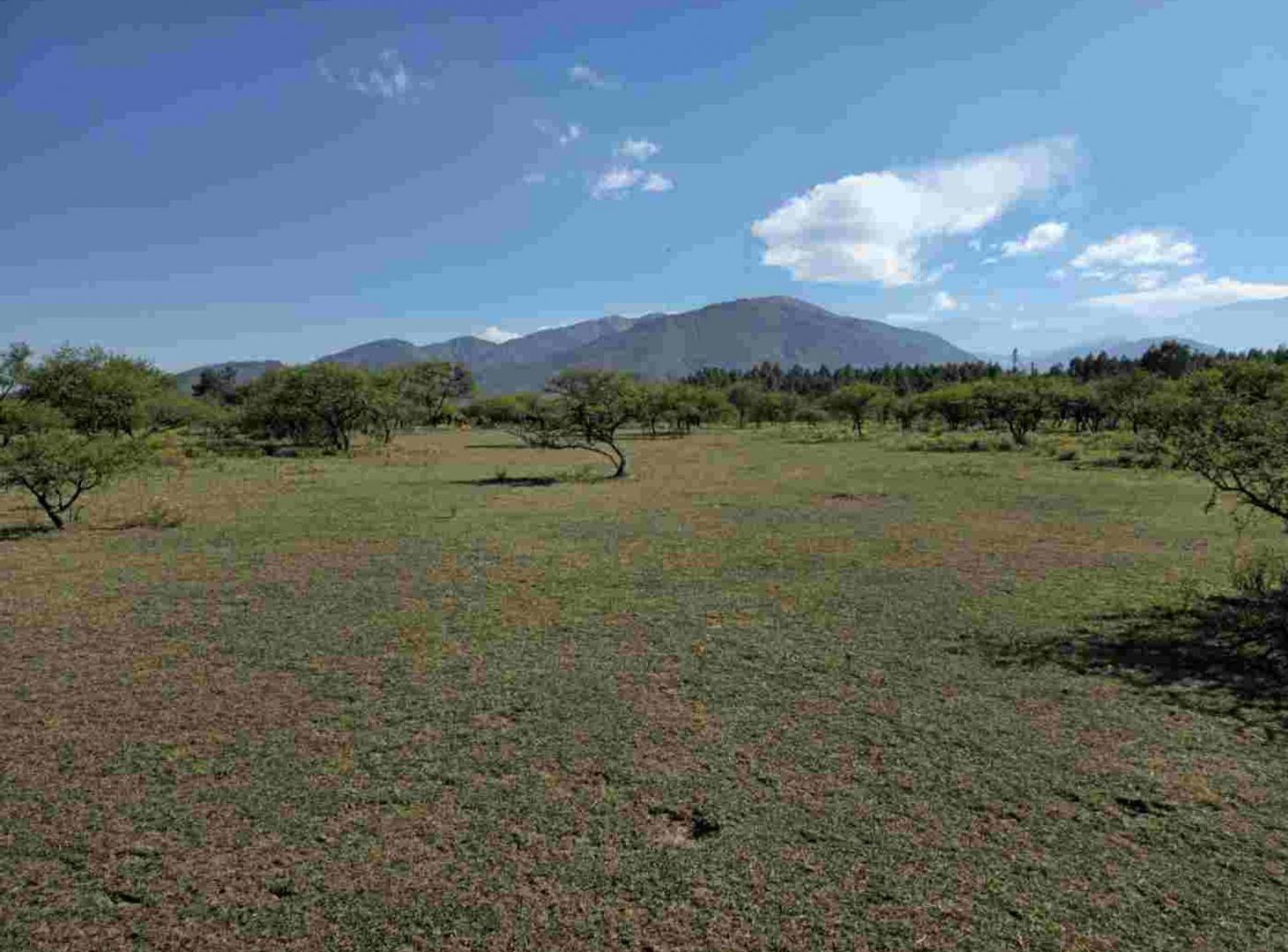 Foto de Venta Terreno 2600m2 La Toma - San Antonio, imagen 4