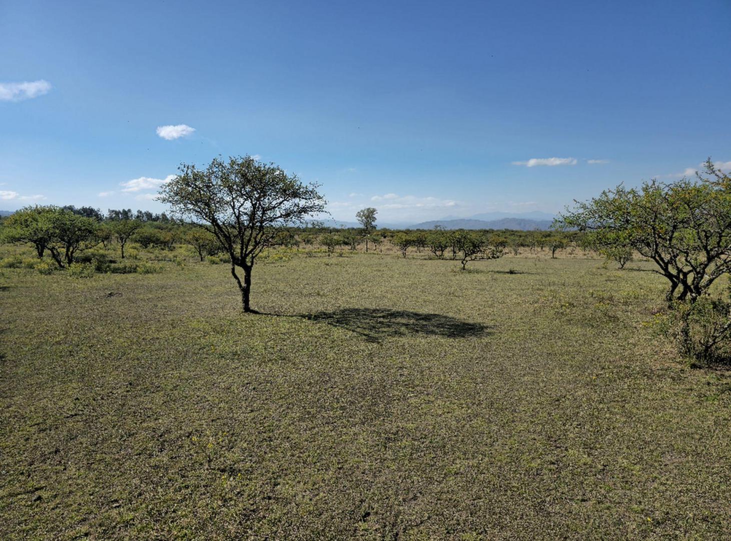Foto de Venta Terreno 2600m2 La Toma - San Antonio, imagen 3