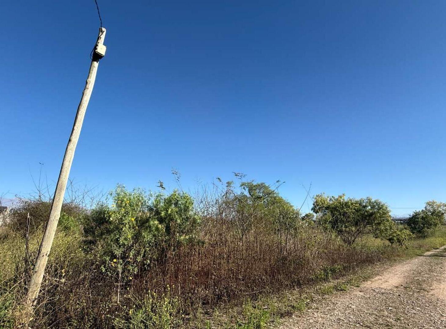 Foto de Venta Terreno 585,66 m2 Bosque del Ceibal ll, imagen 5