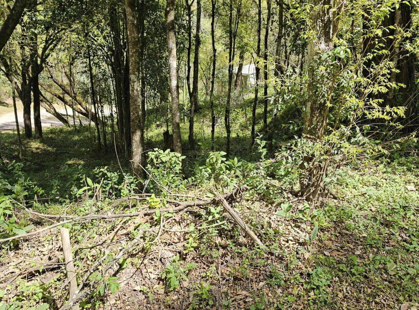 Foto de VENTA TERRENO DE 922 m2-BARRIO HORCO MOLLE-ETAPA 1, imagen 5