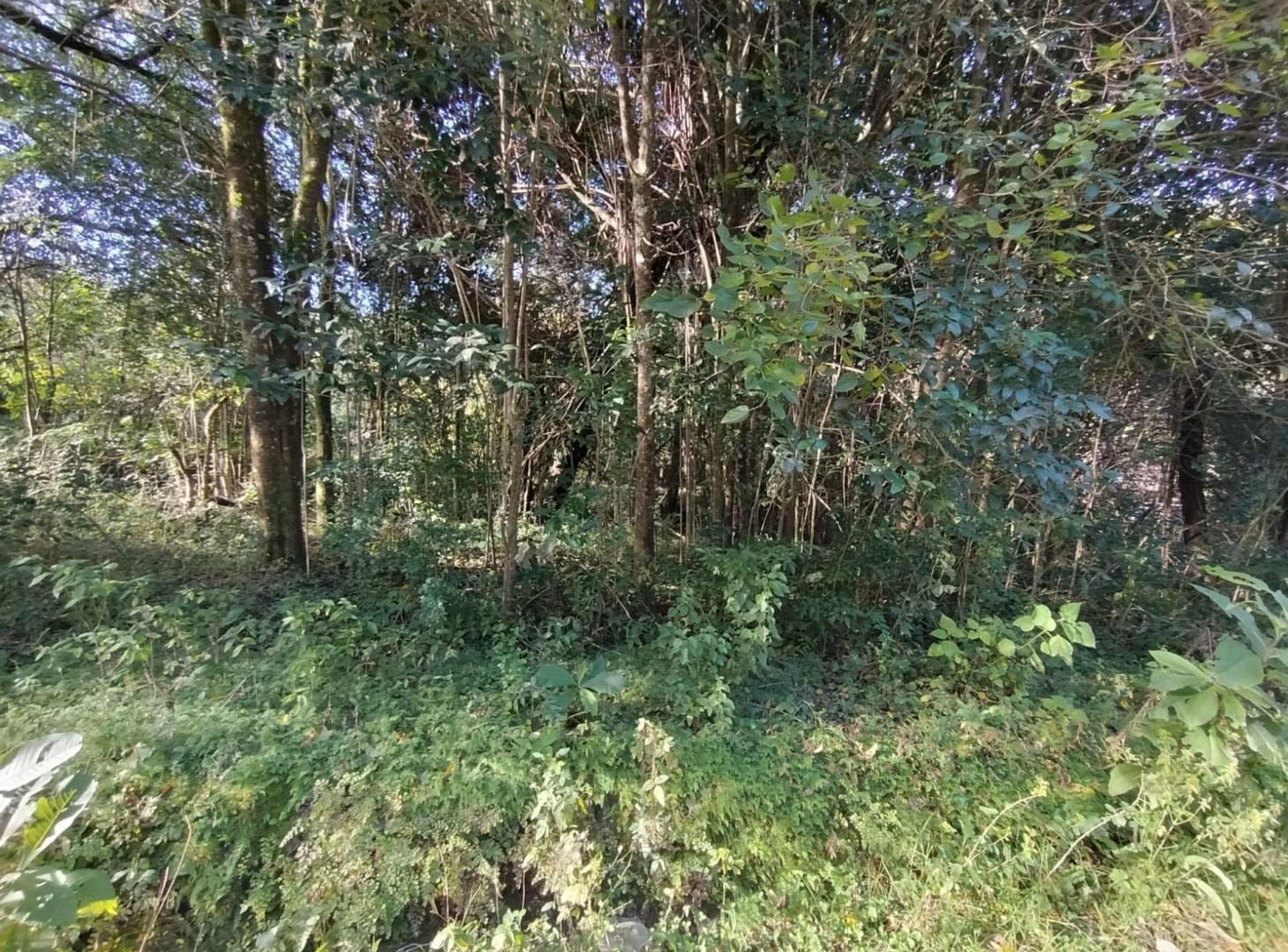 Foto de VENTA TERRENO DE. 1.058,22 M2 LOS NOGALES YALA, imagen 4
