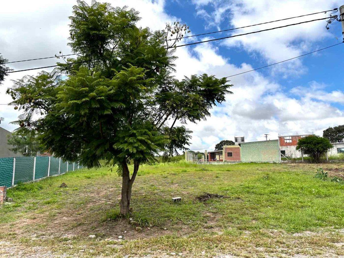 Foto de VENTA TERRENO 912 m2 ROTONDA OSQUE DEL CEIBAL II, imagen 3