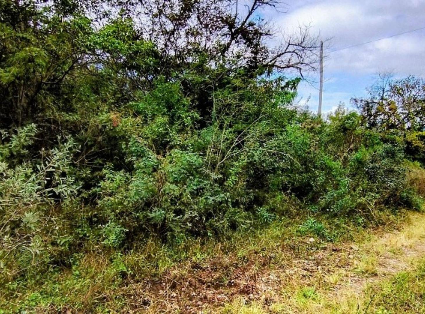 Foto de VENTA DE TERRENO 1533 M 2 EN LA CIENAGA, imagen 3