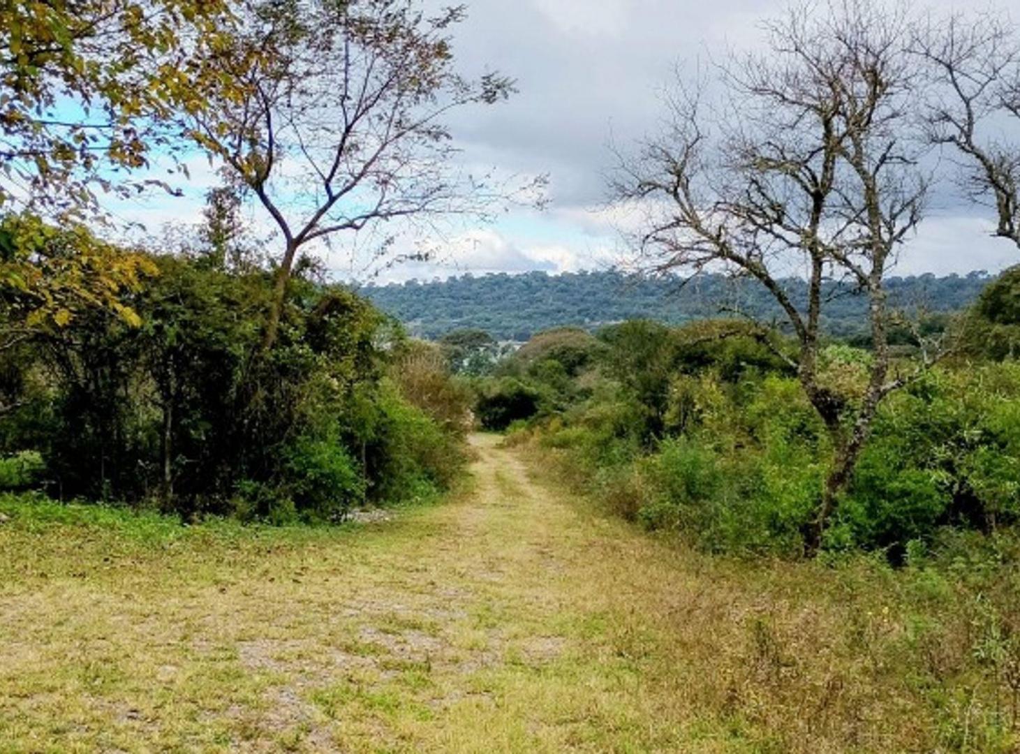 Foto de VENTA DE TERRENO 1533 M 2 EN LA CIENAGA, imagen 2
