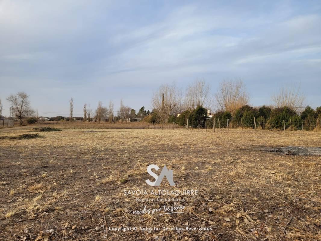 Terreno - Toay 1