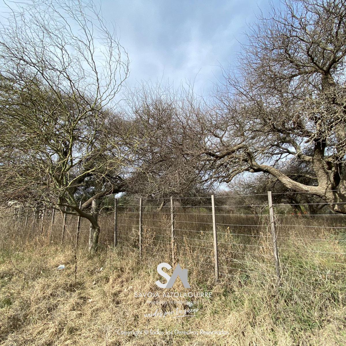 Vende: 2 Terrenos con Hermosa Forestacion en Toay 1