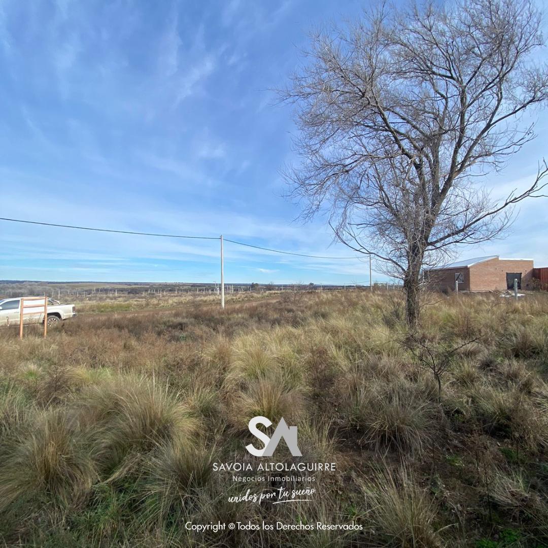 Terreno en Altos de Kamal - Toay 3